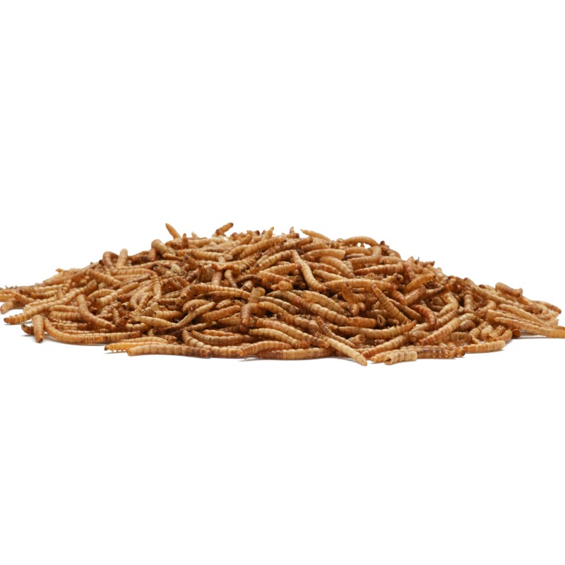 Dried Mealworms Factory - OEM ODM Best Selling