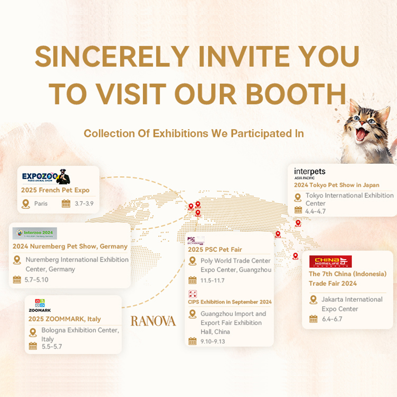 Cat Food Supplier - High Protein Environmental Protection Cat Food OEM Pet Food Factory China