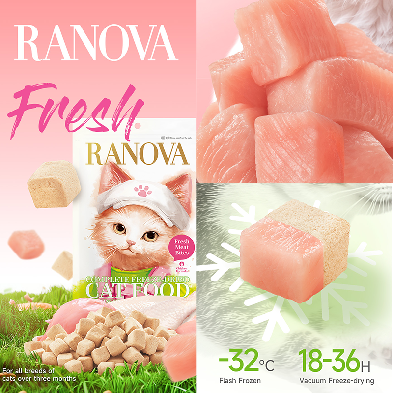 Cat Food Supplier - Pet Food Supplier Sample Pack Fresh Duck Formula Freeze Dried Cat Food