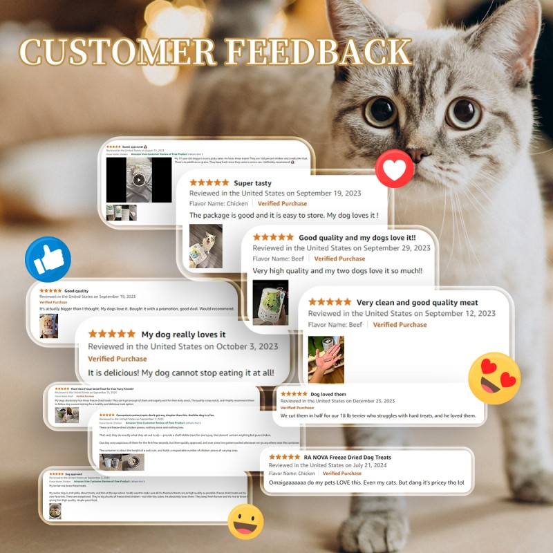 Cat Treats Supplier - OEM Customized Various Flavor Chicken Duck Beef Pellet Freeze Dried Cat Treat