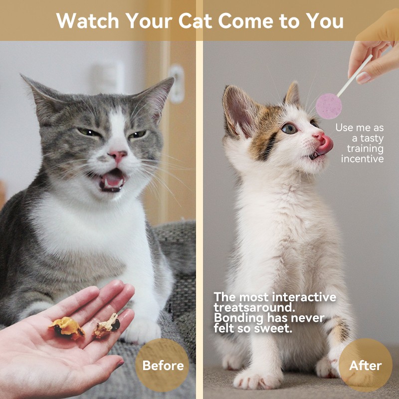 Cat Treats Supplier - Global Stock High-Quality Cat Treats Freeze-Dried Meat Protein-Rich Grain-Free