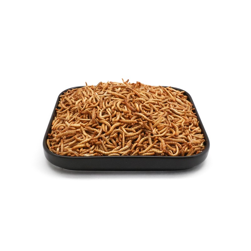 Animal Food Factory - Ranova Top Selling Mealworms Animal Food and Cat Can Food for Pet Supplier