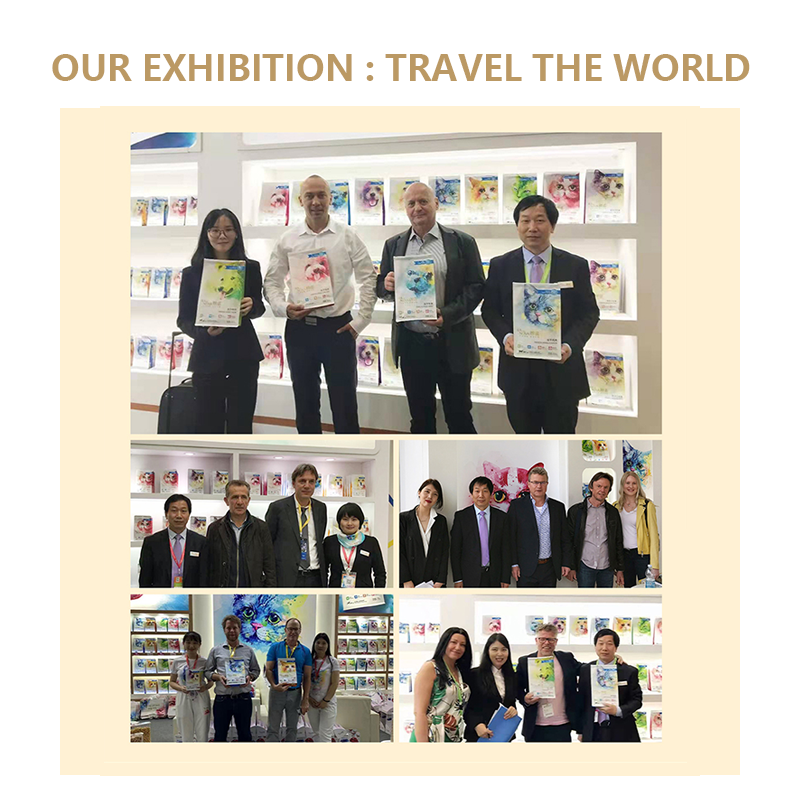 Dried Mealworms Manufacturer - High Protein Non GMO