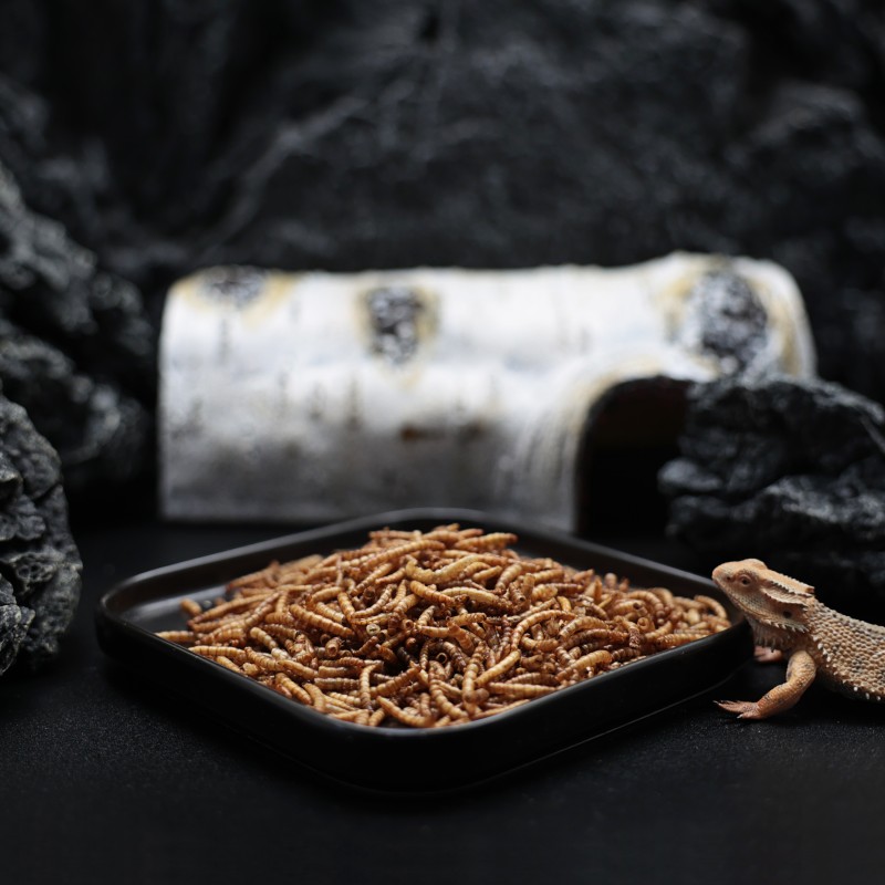 Dried Mealworms Manufacturer - Ranova Private Label