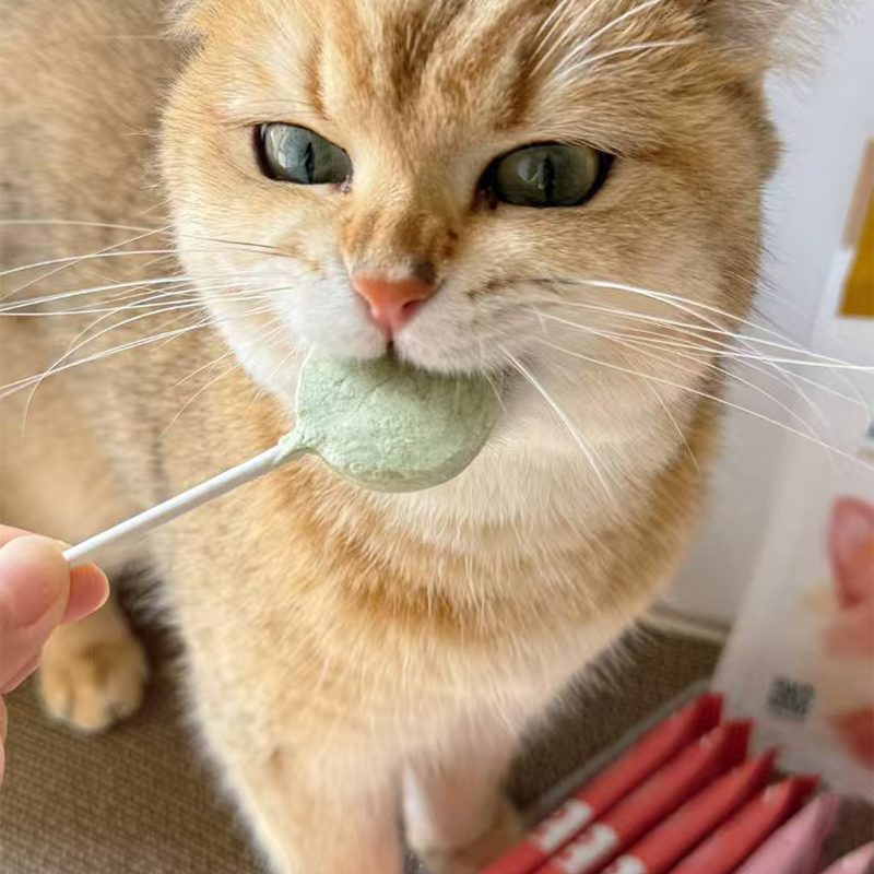 Cat Treats Manufacturer - ISO 22000 Certified Cat Treat Eco-Packaging Freeze Dried Lollipop Cats Snacks