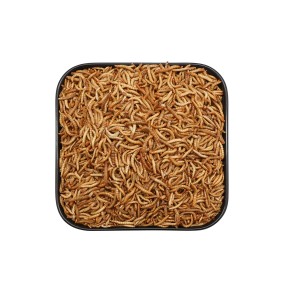 Mealworms Factory - Ranova Unique Aroma High Protein Pet Food Wholesalers Dried Mealworms Super Worm