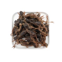 Freeze Dried Quail Treats Factory - Organic Easy Digestion