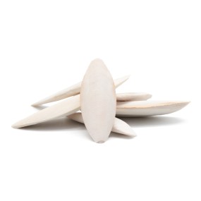 Cuttlefish Bones Supplier - Ranova Cuttlefish Bones for Birds Food Natural or Bleached White Color