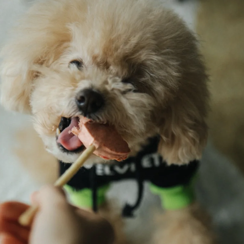 Dog Snack Manufacturer - High Protein Dog Snack Quality Wholesale Freeze Dried Lollipop Dog Treat