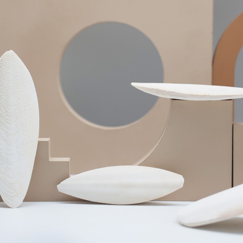 Cuttlefish Bones Supplier - Ranova Cuttlefish Bones for Birds Food Natural or Bleached White Color