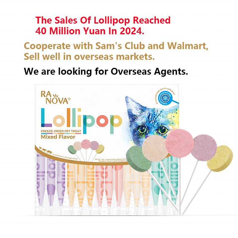 Cat Lollipop Treats Supplier - OEM Top Selling Interactive