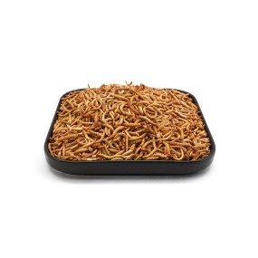 Dried Mealworm Supplier - Ranova Dried Mealworm Freeze Dried Pet Snack Mealworms Breeding Animal Feed