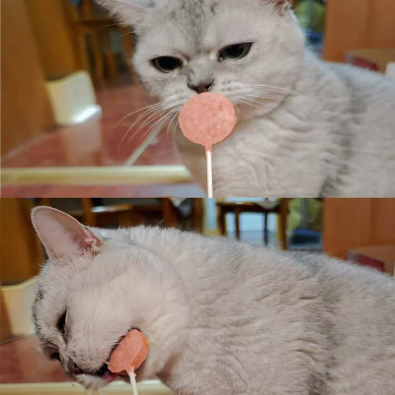 Cat Gummies Factory - Grain-Free Cat Gummies Chicky Licks Freeze Dry Cat Treats Lollipop