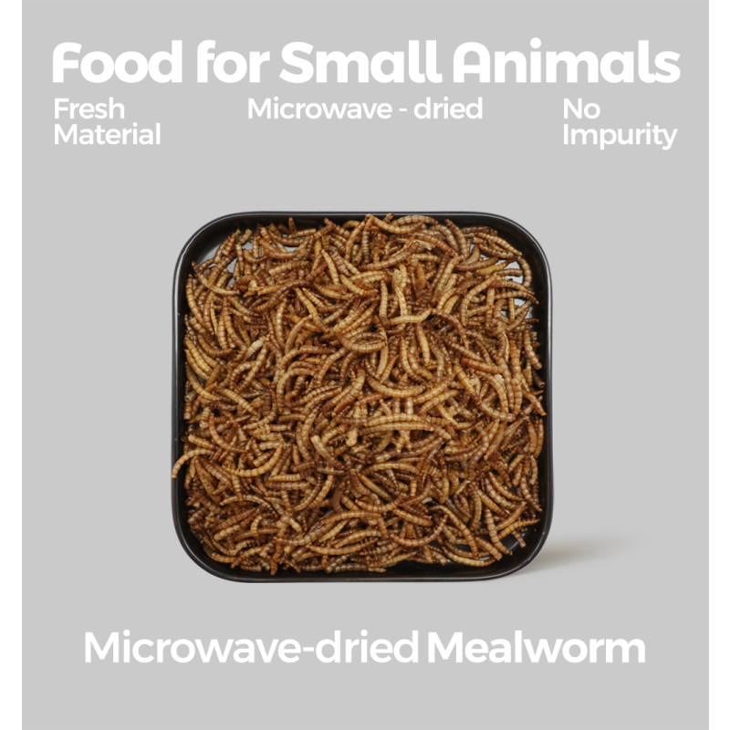Yellow Mealworms Factory - Ranova China Best Selling High Protein Freeze Dried Yellow Mealworms Clean