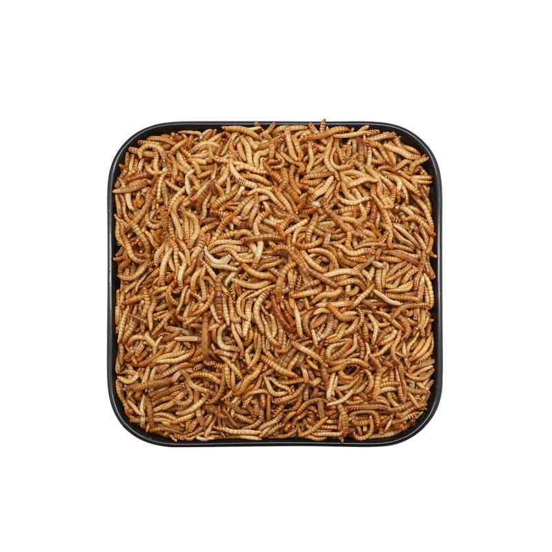 Freeze Dried Mealworm Factory - OEM High Quality Premium