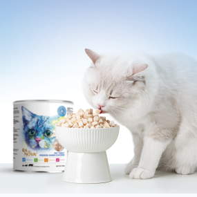 Pet Food Supplier - Pet Food Suppliers Freeze Dried Dog Treats Cat Snacks Cod Salmon Dry Cat Food