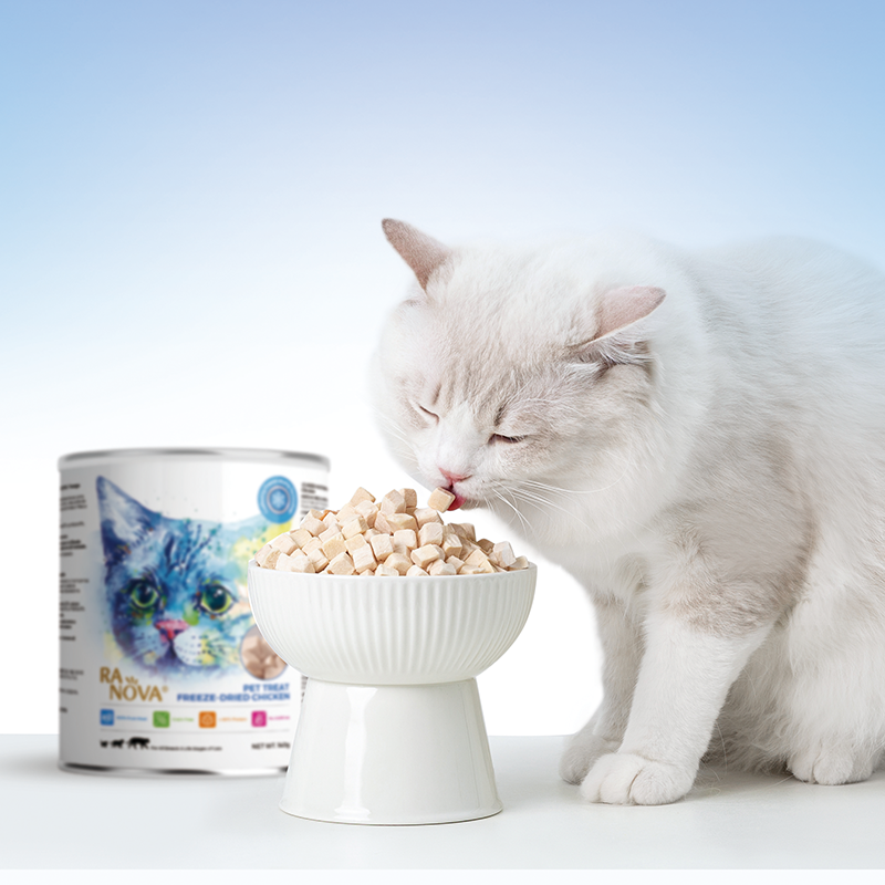 Pet Food Supplier - Pet Food Suppliers Freeze Dried Dog Treats Cat Snacks Cod Salmon Dry Cat Food