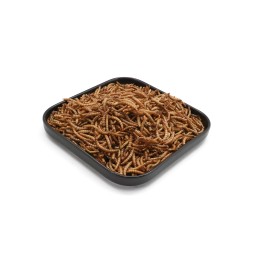 Dried Mealworms Manufacturer - Ranova Private Label