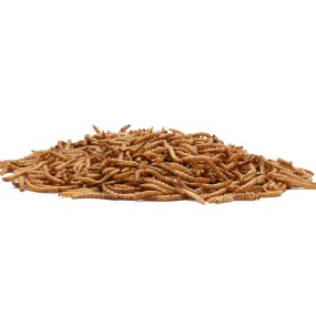 Mealworm Supplier - RANOVA OEM Wholesale Pure Natural Feed 10lb Mealworm for Animal Food