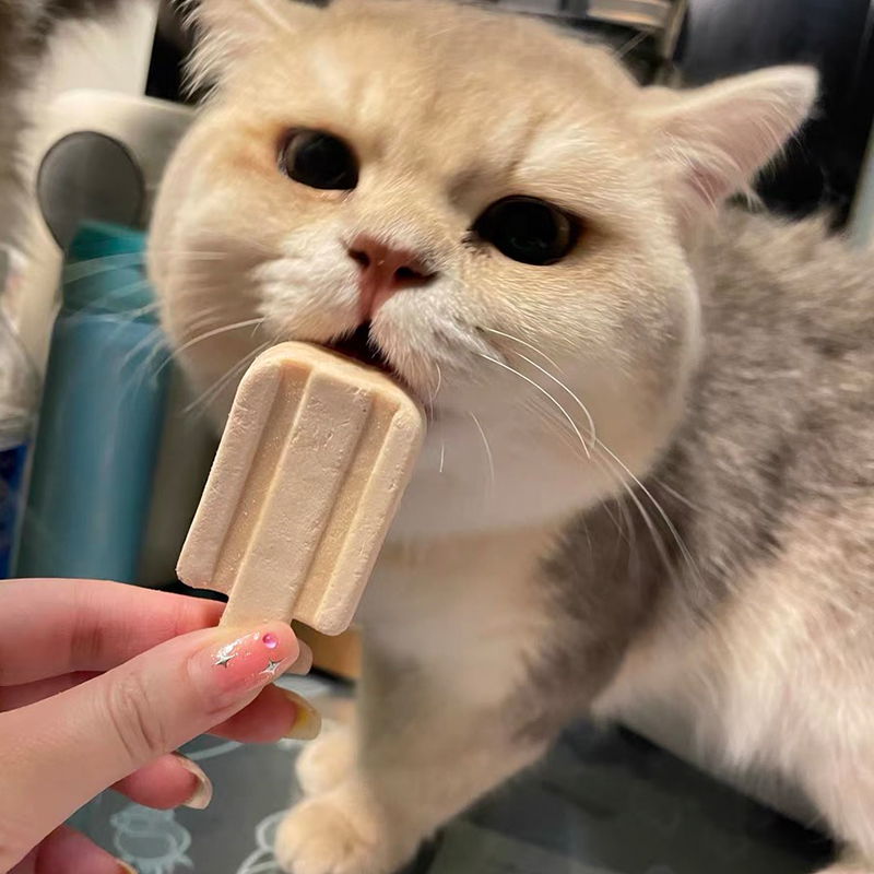 Interactive Treats Manufacturer - Top Ranking Dual Protein Ice Cream Handheld Treats Freeze Dried