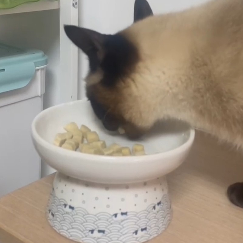 Dry Cat Food Manufacturer - Ranova Premium Freeze Dried