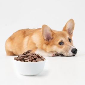Freeze Dried Dog Treats Manufacturer - Ranova Single Ingredient