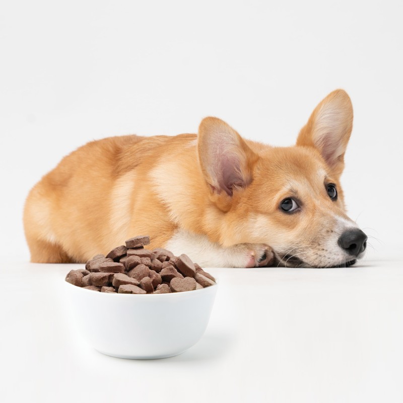Freeze Dried Dog Treats Manufacturer - Ranova Single Ingredient