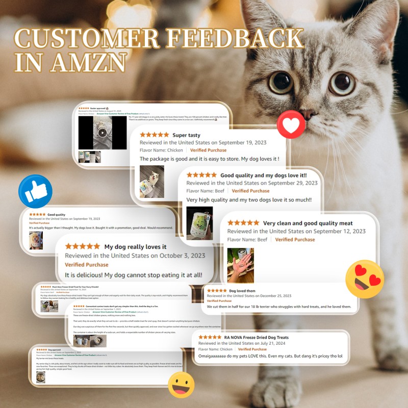 Beef Treats Manufacturer - Ranova Bulk Buy Single Ingredient Freeze-Dried Pure Beef Pet Treats