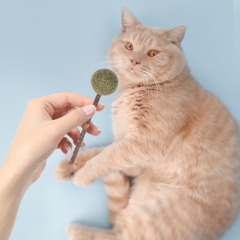 Catnip Balls Manufacturer - YaHo Organic Natural High Quality Kitten Catnip Catmint Balls Treats Food