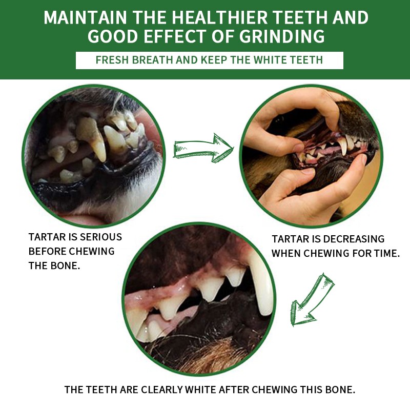 Dental Stick Supplier - Wholesale Manufacturer Pet Treats Dog Dental Stick Brush Bone Chew Snacks