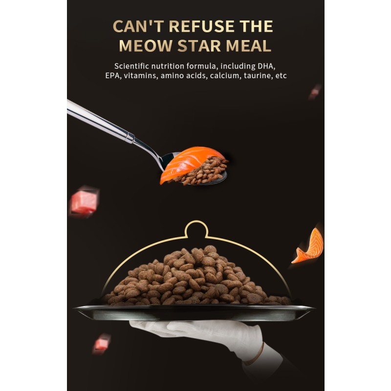 Cat Treats Manufacturer - Nature High Protein Cat Treats Snack Pet Food Senior Cat Food Dry