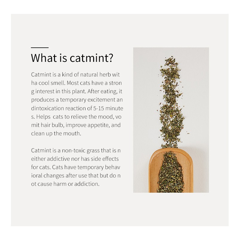 Cat Toys Manufacturer - Wholesale Natural Organic Interactive Cat Toys with Catnip Mint Dried Cat Treats