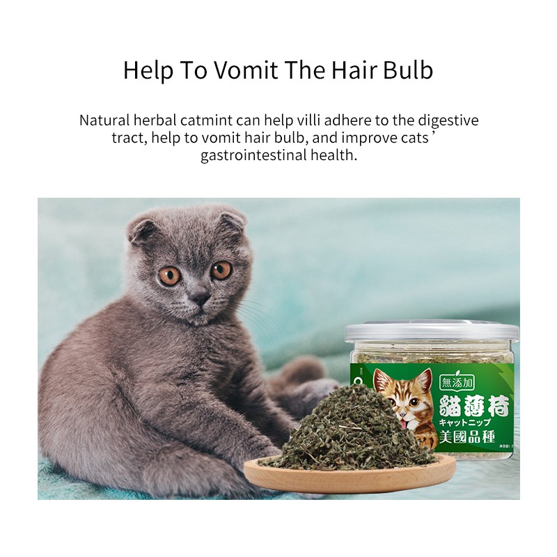Catnip Treats Supplier - Interactive Cat Toys Natural Catnip Catmint Cat Nip Treats Pet Snacks Wholesale
