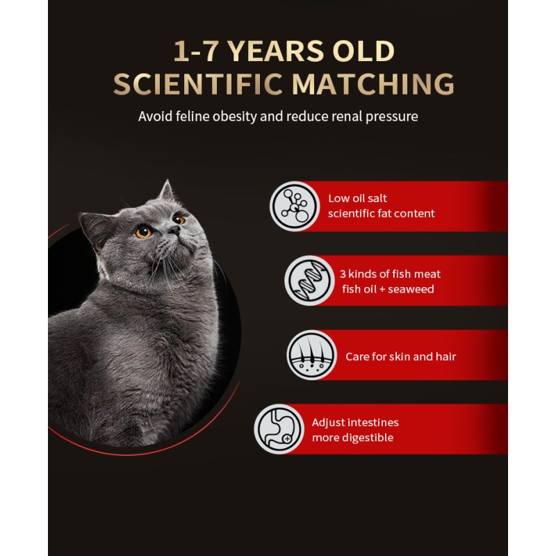 Dry Cat Food Manufacturer - Pet Food Manufacturer Private Label High Protein Dry Cat Food 500g Bag