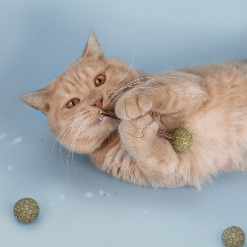 Catnip Toy Factory - Wholesale Eco-Friendly Catmint Catnip Snack Natural Lollipop Interactive Ball Toy