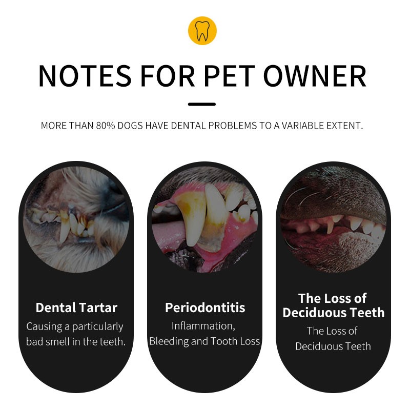 Pet Biscuit Manufacturer - China Factory Bone Shape Pet Biscuit Dog Training Food Private Label