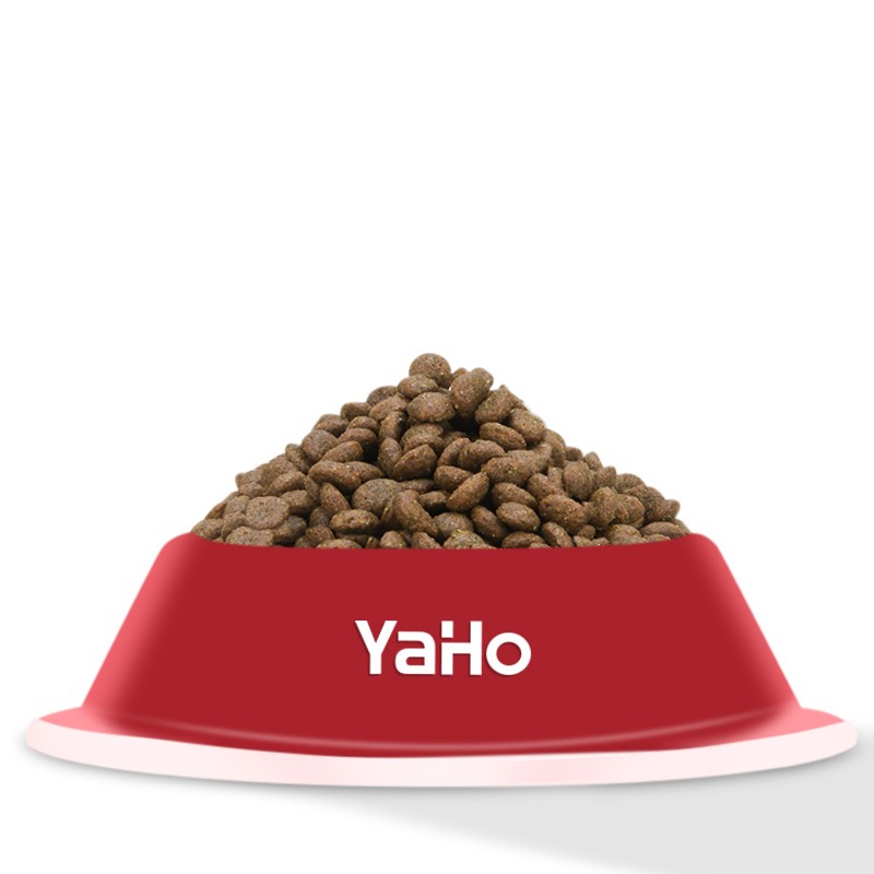 Kitten Food Supplier - Natural Healthy Grain Free Pet Food Kitten Dry Cat Food 500g Package