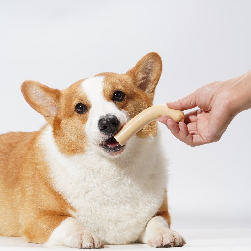 Ham Sausage Supplier - Wholesale Natural Grain-Free Dog Treats Snack Ham Sausage No Additives for Dogs