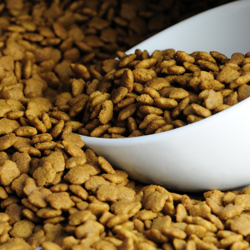 Dog Food Supplier - Pet Supplies Pet Food Supplier Private Label Dog Treats Food Grain Free