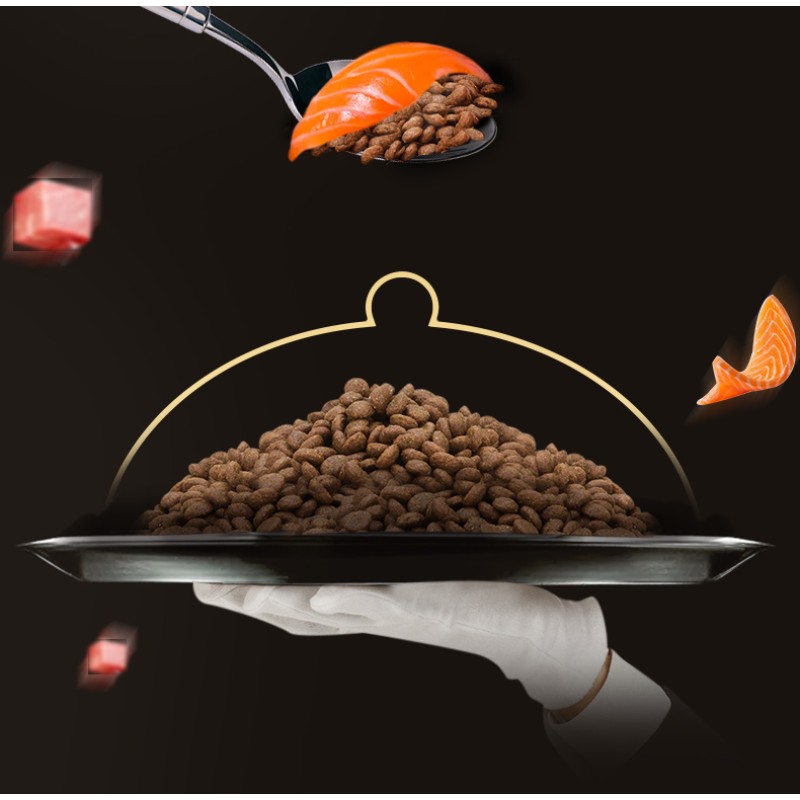 Salmon Cat Food Supplier - Natural High Protein Kitten Salmon Dry Cat Food for Kittens Cats