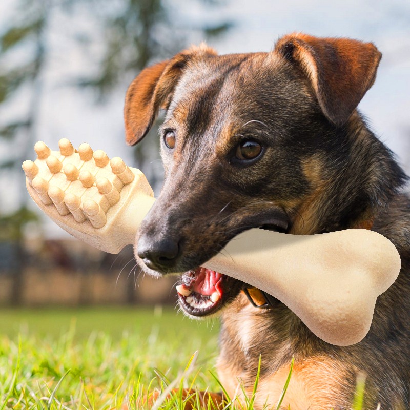 Dental Brush Manufacturer - YaHo Dog Chew Treats 360 Degree Dental Brush Large Dog Stick Food Nutritional