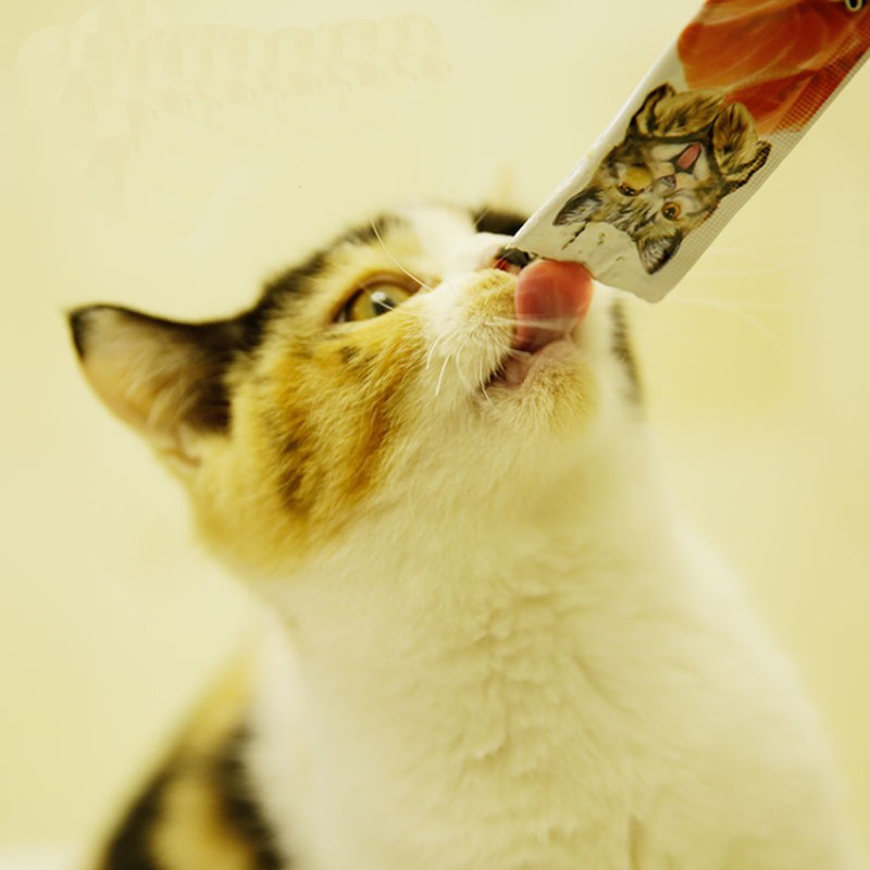 Cat Creamy Snacks Factory - China Manufactory Cat Creamy Snacks Lickable Wet Cat Treats for Cats