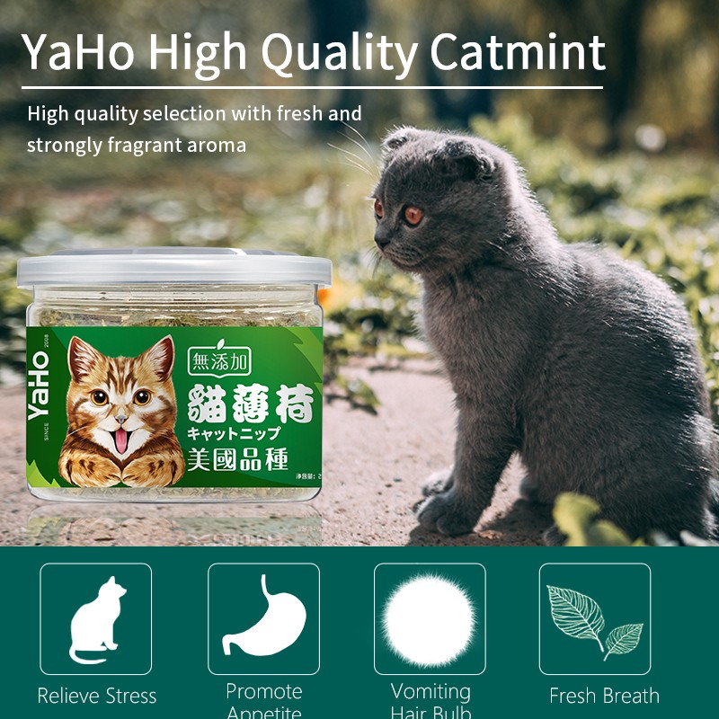 Cat Treats Supplier - Natural Pet Cat Food Wholesale Cat Treats Catmint Catnip for Feline Health