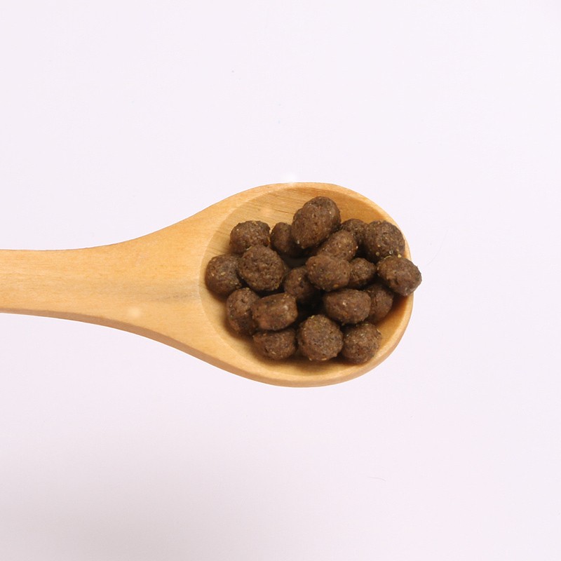 Kitten Food Supplier - Natural Healthy Grain Free Pet Food Kitten Dry Cat Food 500g Package