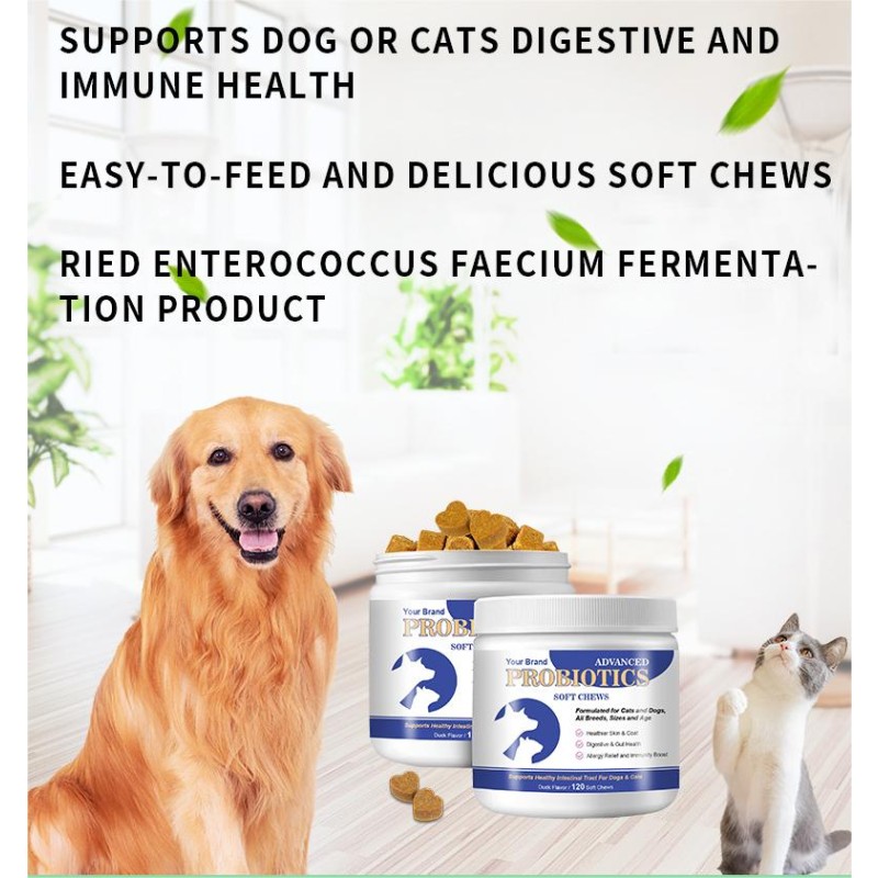 Dog Probiotics Supplier - Digestive Enzymes Soft Chews