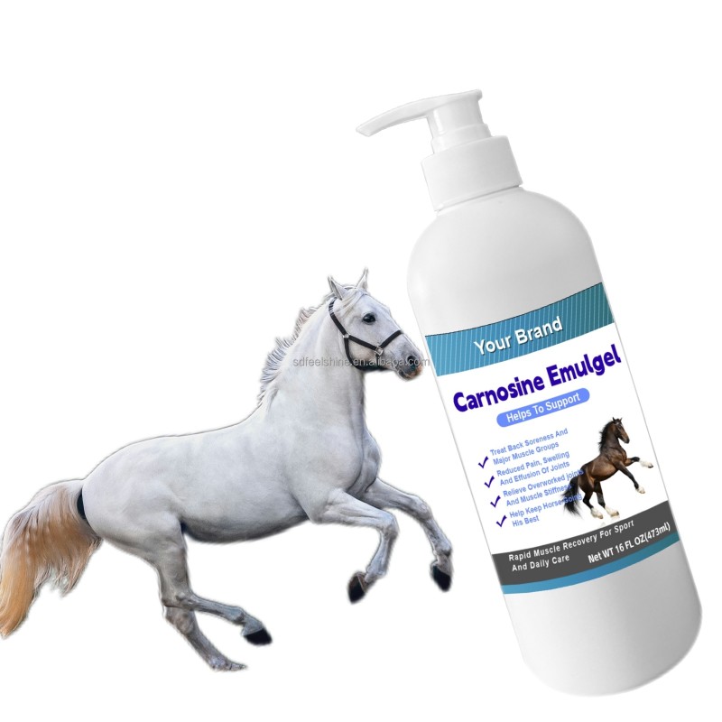Horse Joint Health Supplier - Veterinarian Carnosine Emulgel