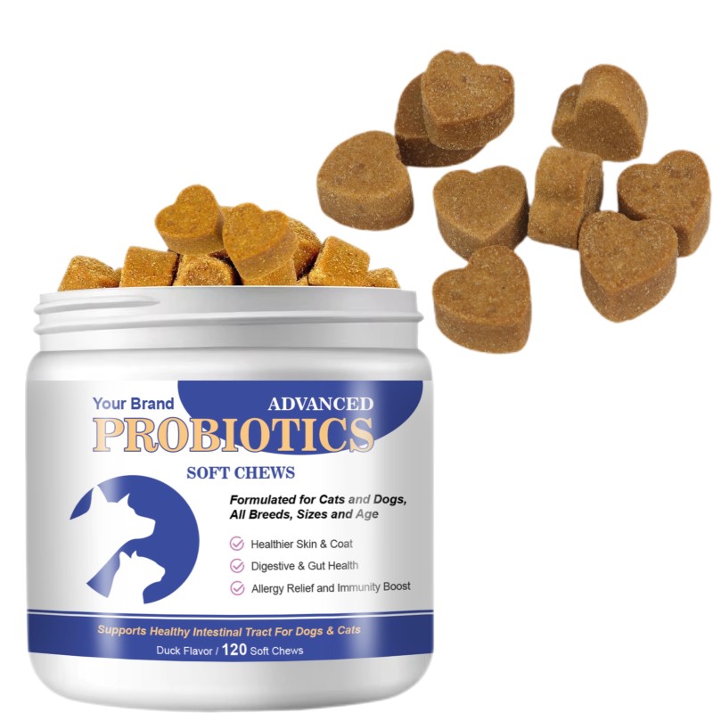 Dog Probiotics Supplier - Digestive Enzymes Soft Chews