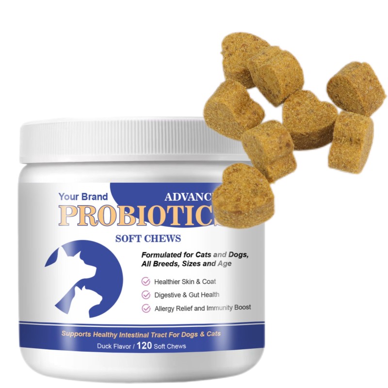 Dog Probiotics Supplier - Digestive Enzymes Soft Chews