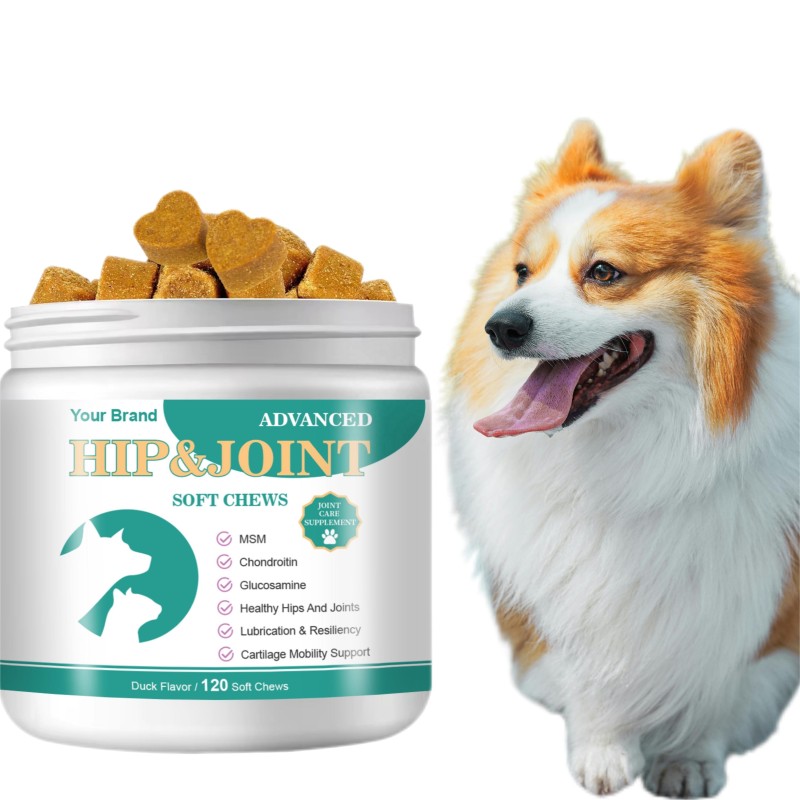 Joint Supplements for Dogs Manufacturer - Wholesale Soft Chews