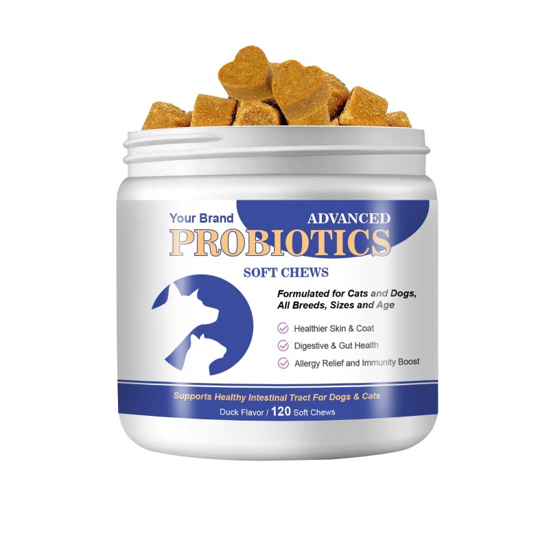 Pet Chews Treats Factory - OEM Custom Probiotic Supplement
